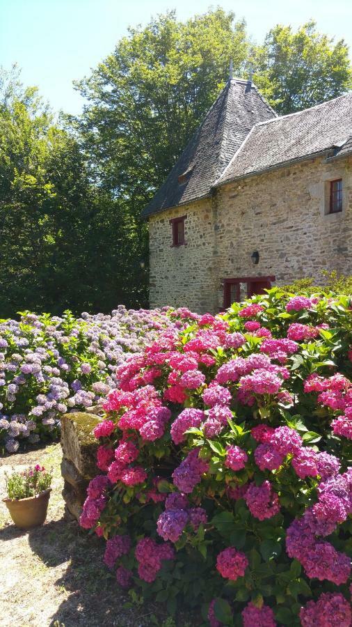 Chateau De Bellefond Lagraulière Екстериор снимка